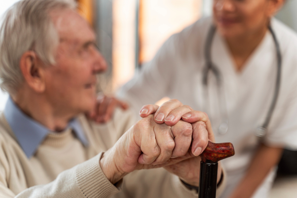 Aged Care in Kingsgrove