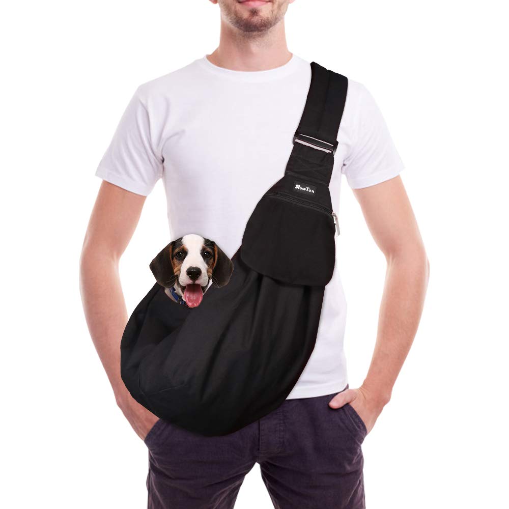 dog overnight bag