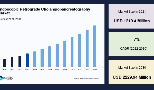 Endoscopic Retrograde Cholangiopancreatography Market Outlook 2033: Key Trends and Growth Opportunities You Can’t Miss Endoscopic Retrograde Cholangiopancreatography Market