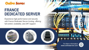 France Dedicated Server