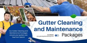 Gutter Cleaning Avondale Heights