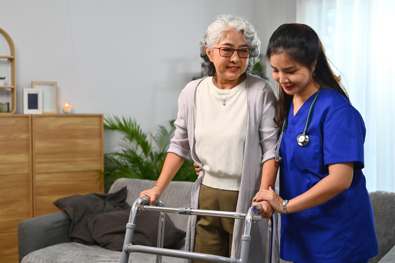 Health Aide Services