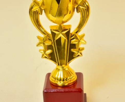 Your One-Stop Destination For Awards, Trophies, And Mementos CraftEarth Buy School Awards