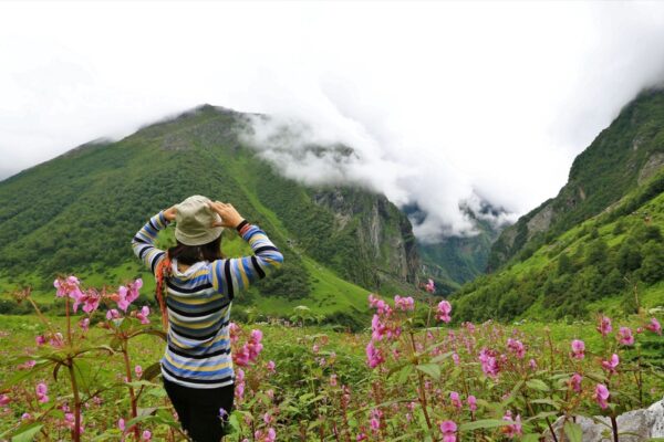 How to Find the Best Trek Organiser for Valley of Flowers Valley of Flowers