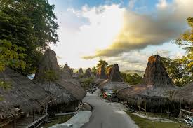 travel and tour packages