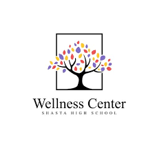 The Value of Local Collaboration for a Wellness Center