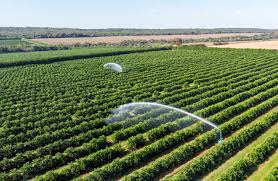 Agriculture Farm Management