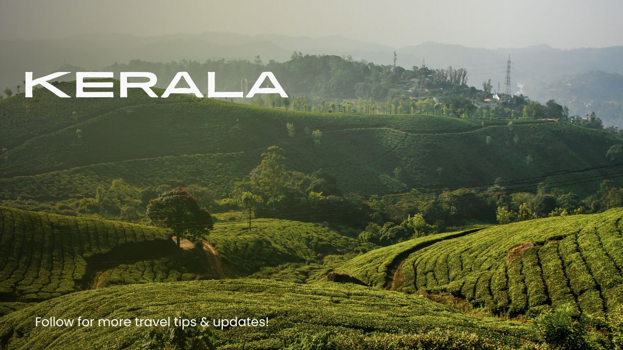 Kerala Private Tours for a Peaceful and Personalized Trip