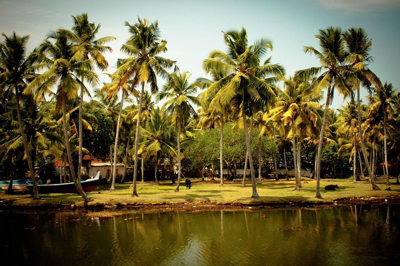 kerala india tours