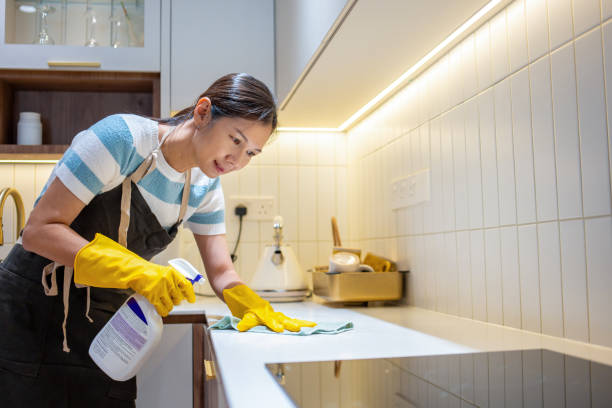 transfer maids