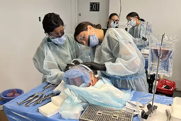 Dental Implant Education Courses