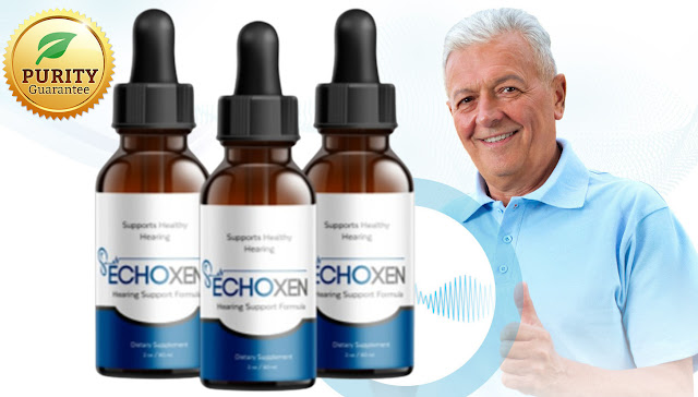 EchoXen