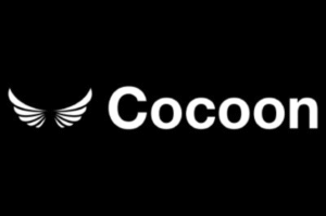 Digital Marketing Consultant