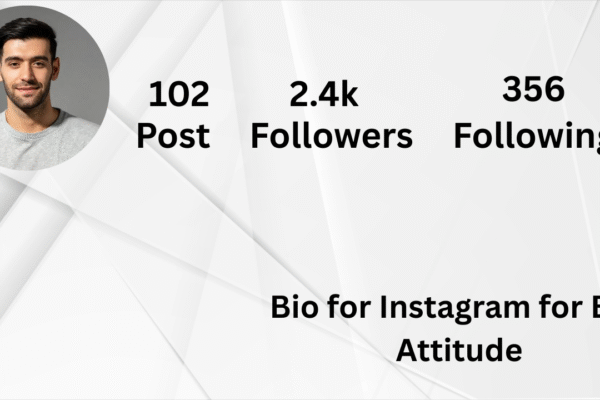 Bio for Instagram for Boy Attitude