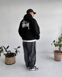 stussy Hoodie
