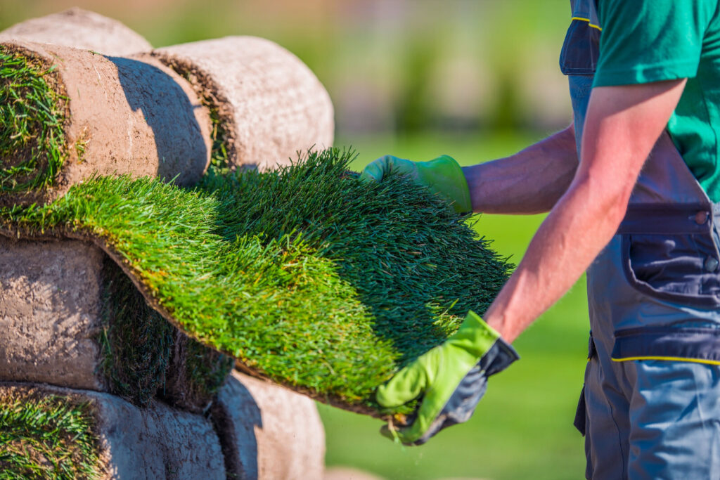 Turf Installation Service New York