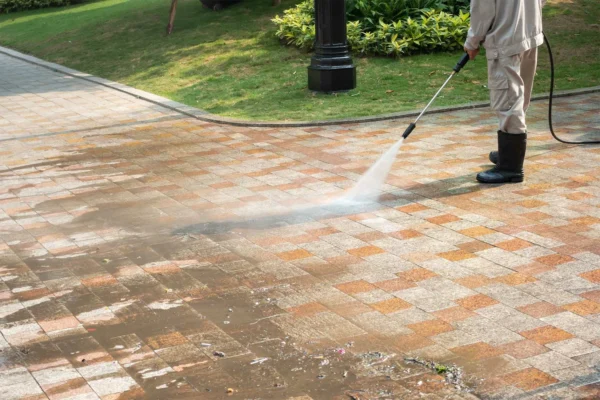 Pressure Washing Delmar