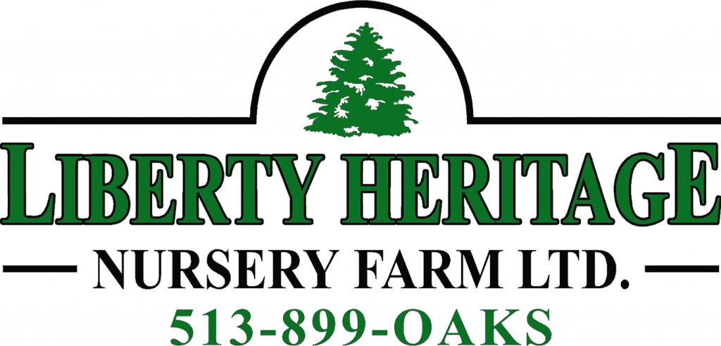 Driveways and Walkways