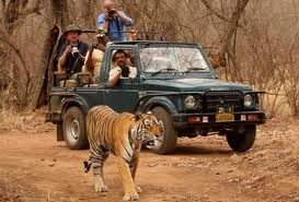 Ranthambore tiger reserve safari Park