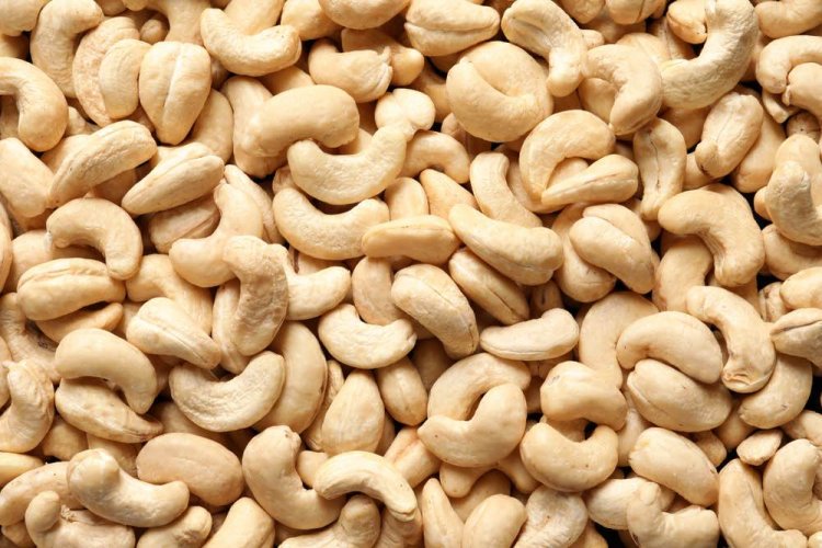 Cashew Nut Supplier in India